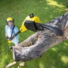 Best Arborist Consultation Services  in Mcguire Af, NJ